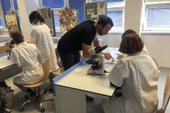 E75BB147-9DDA-428B-B790-74E2BE41D1BE