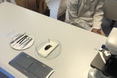 E91A3483-4C85-403E-8491-9EEA96C41CC2