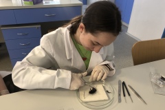 F5C0DE93-6633-4D33-8102-1E2D11AE180F