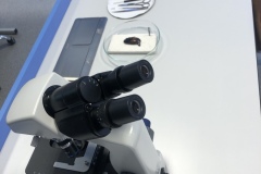 FCF1E9AD-B1FB-4796-A195-361A87C4C7B7