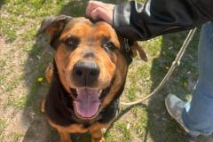 IMG_20250424_085523_376