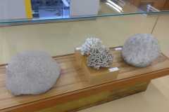 IMG-20250513-WA0169