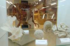 IMG-20250513-WA0172