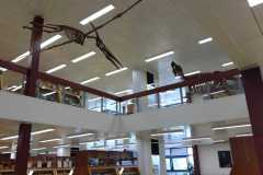 IMG-20250513-WA0177