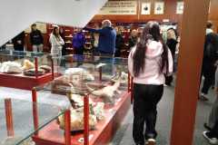IMG-20250513-WA0178