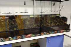 IMG-20261001-WA0000