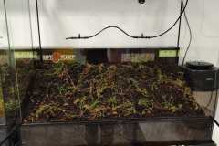 IMG-20261001-WA0001