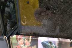 IMG-20261001-WA0002