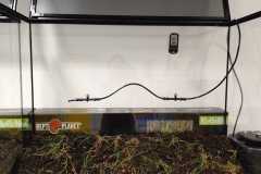 IMG-20261001-WA0003