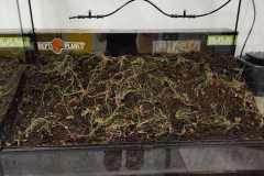 IMG-20261001-WA0004