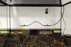 IMG-20261001-WA0005