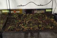 IMG-20261001-WA0006