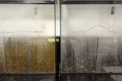 IMG-20261001-WA0007