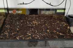 IMG-20261001-WA0008