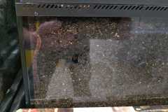 IMG-20261001-WA0009