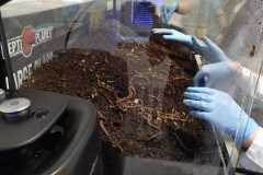 IMG-20261001-WA0010