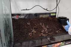 IMG-20261001-WA0015