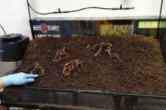 IMG-20261001-WA0017