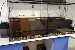 IMG-20261001-WA0020