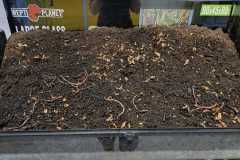 IMG-20261001-WA0021
