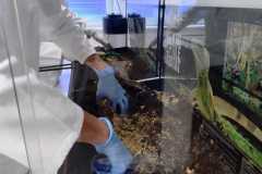 IMG-20261001-WA0024