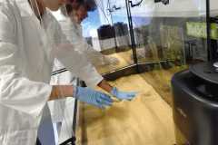 IMG-20261001-WA0025