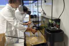 IMG-20261001-WA0027