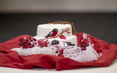 Celkem 7 žáků oboru Cukrář poměřilo své síly při tvorbě slavnostních dortů v cukrářské soutěži Podbeskydský Ještěr