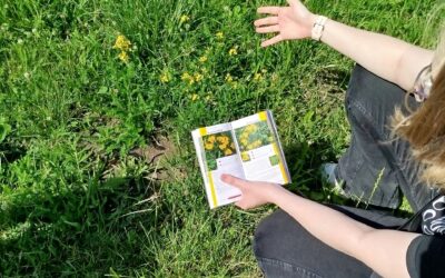 Zpráva o realizaci školního programu environmentálního vzdělávání, výchovy a osvěty (EVVO) ve školním roce 2023/2024