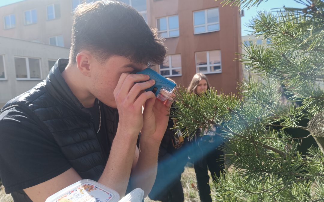 Úkol recyklohraní „stromy superhrdinové“
