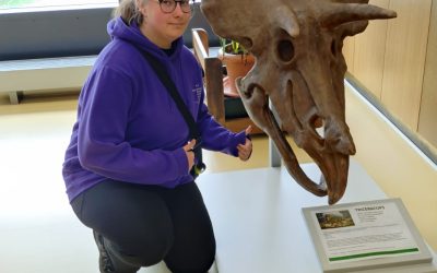Další směr pro naše budoucí absolventy by mohl být geovědní a montánní turismus