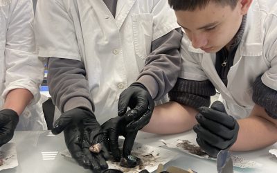 Laboratorní cvičení pro základní školu