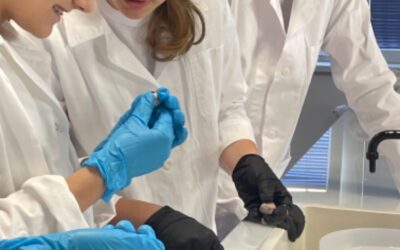 Laboratorní cvičení pro základní školu Lískovec