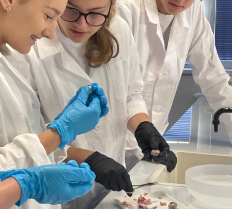 Laboratorní cvičení pro základní školu Lískovec