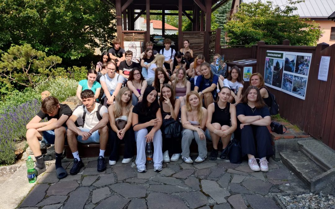 Výlet za zvířátky do záchranné stanice