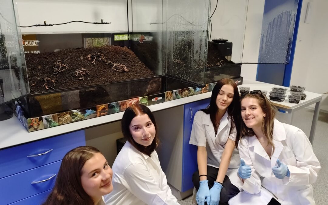 Zahájili jsme projekt EVVO pod názvem „Potravní nároky žížaly obecné (Lumbricus terrestris)“