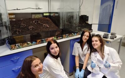 Zahájili jsme projekt EVVO pod názvem „Potravní nároky žížaly obecné (Lumbricus terrestris)“